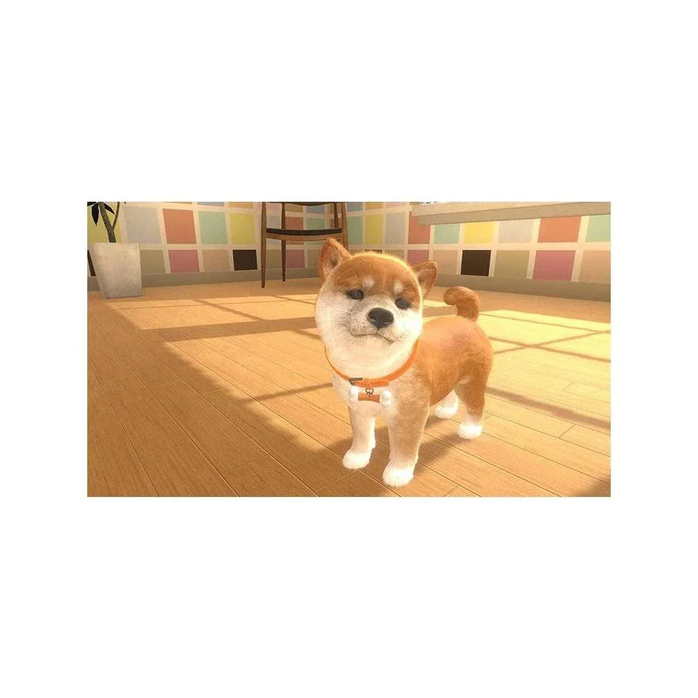 Thumbnail 4